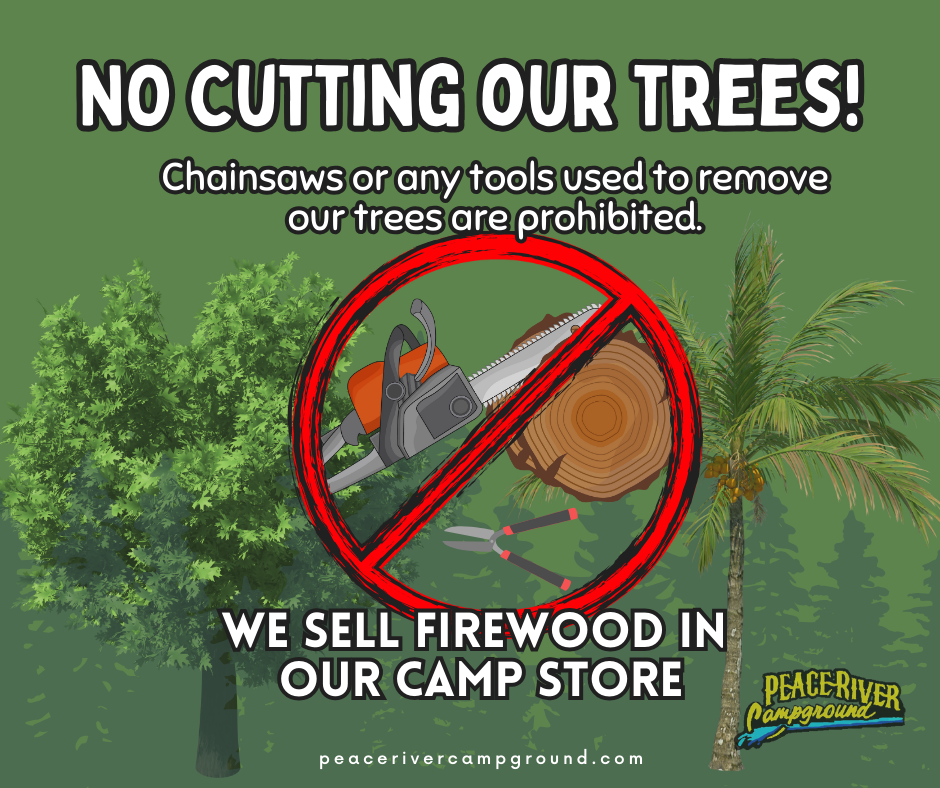 no cutting trees, firewood for sale in office