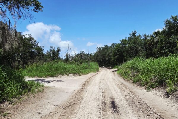 Road in wilderness Road in wilderness