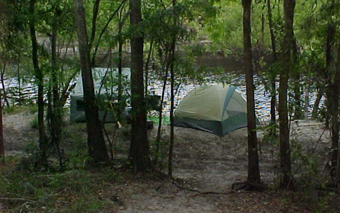Wilderness campsite beneath the trees at Peace River Campground